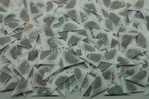 :::BULK SALE:::: Heliconius sp. A1 MIXED SPECIMENS